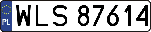 WLS87614