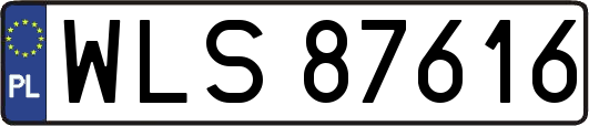 WLS87616