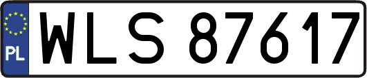 WLS87617