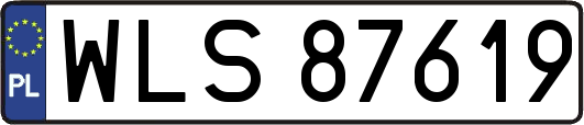 WLS87619