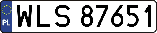 WLS87651