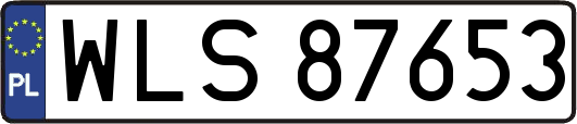 WLS87653