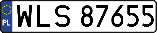 WLS87655