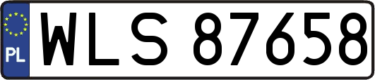 WLS87658