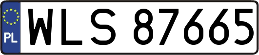 WLS87665