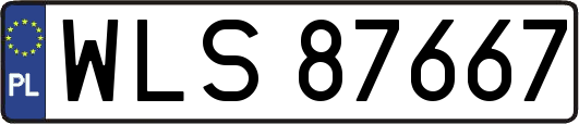 WLS87667