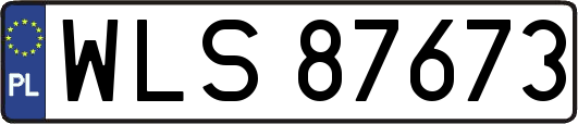 WLS87673