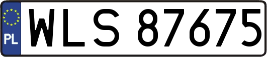 WLS87675