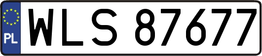 WLS87677