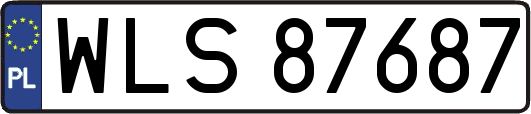 WLS87687
