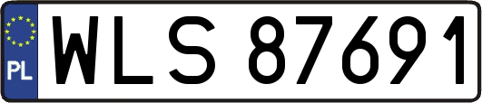 WLS87691