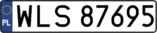WLS87695