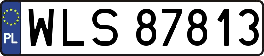 WLS87813