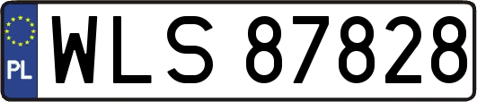 WLS87828