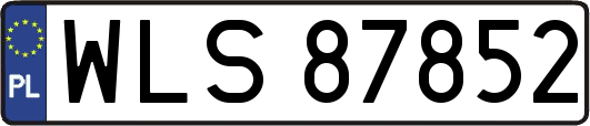 WLS87852