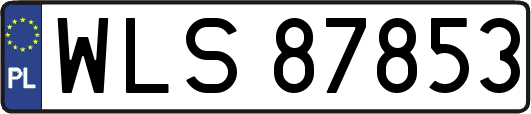 WLS87853