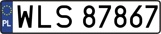 WLS87867