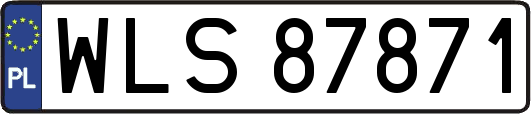 WLS87871