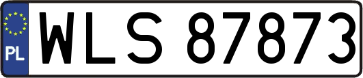 WLS87873