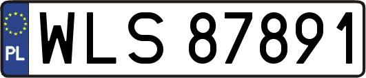 WLS87891