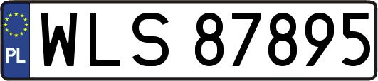 WLS87895