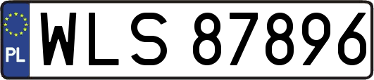 WLS87896