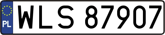 WLS87907
