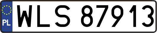 WLS87913