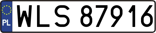 WLS87916