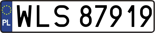 WLS87919