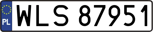 WLS87951