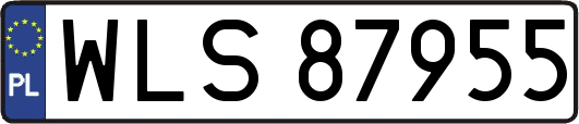 WLS87955