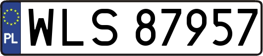 WLS87957