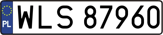 WLS87960
