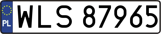 WLS87965