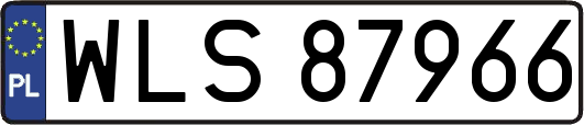 WLS87966