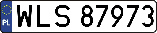 WLS87973