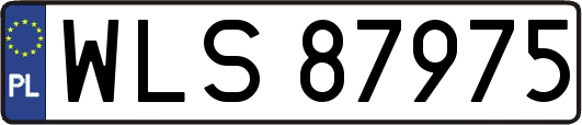 WLS87975