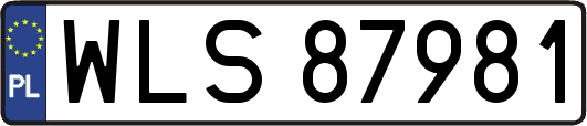 WLS87981