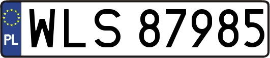 WLS87985