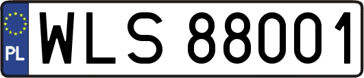 WLS88001