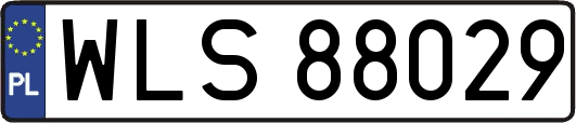 WLS88029