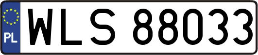 WLS88033