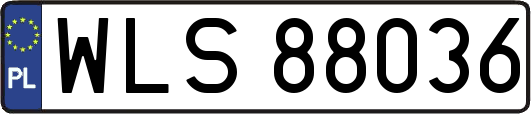 WLS88036