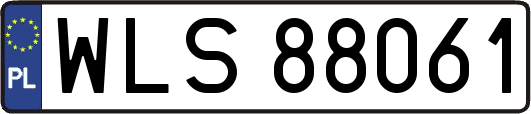 WLS88061