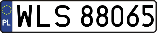 WLS88065