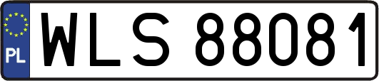 WLS88081