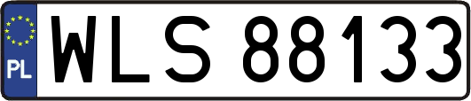 WLS88133