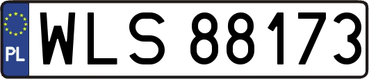 WLS88173