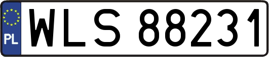 WLS88231